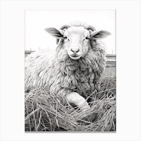 Black & White Illustration Of Highland Sheep In The Straw 3 Canvas Print
