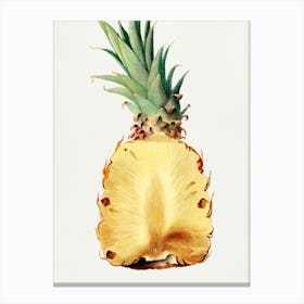 Pineapple Print Canvas Print