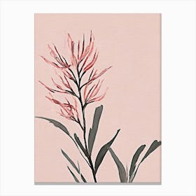 Australian native flower pink Canvas Print