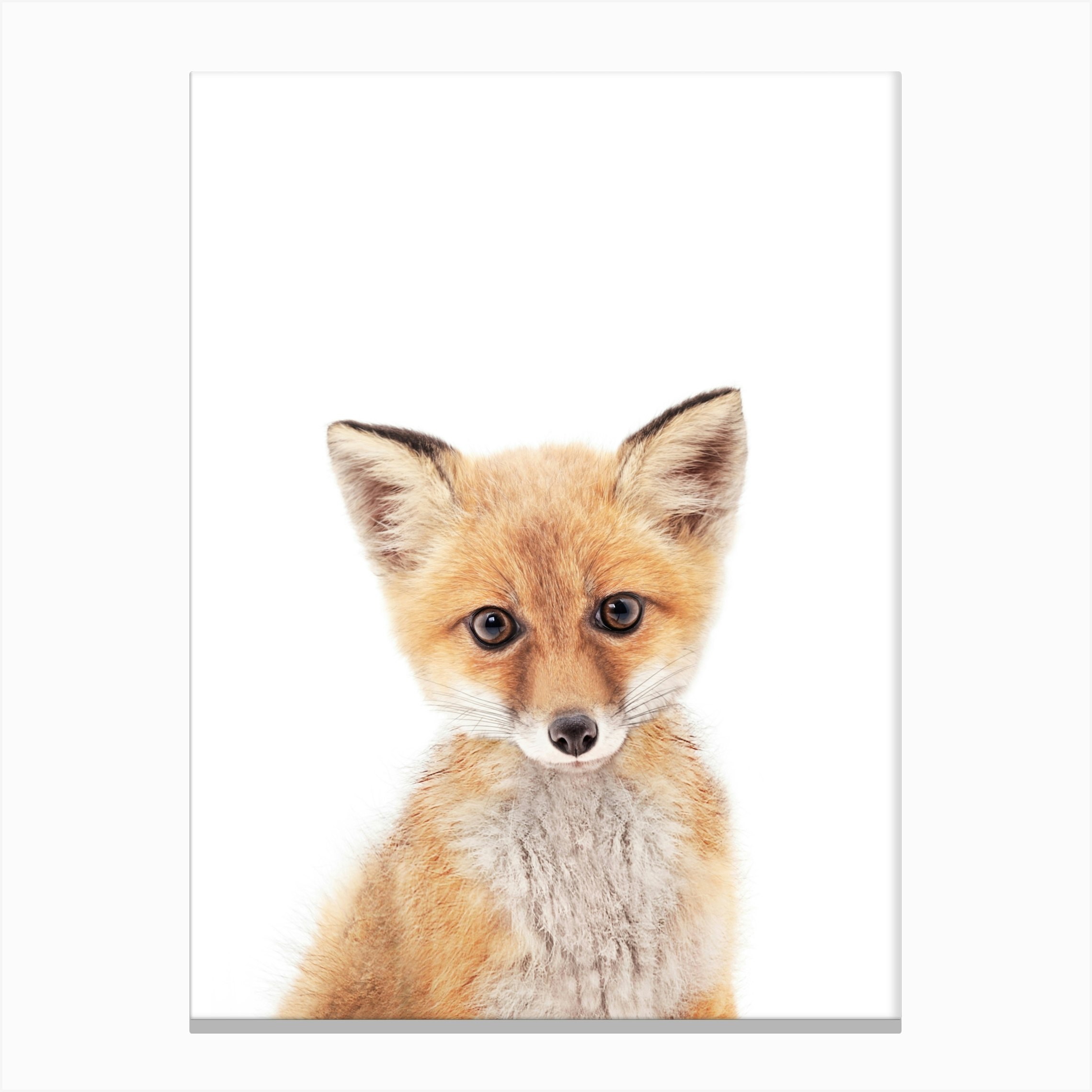 Fox Canvas Print By Sisi And Seb Fy