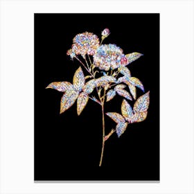 Stained Glass Van Eeden Rose Mosaic Botanical Illustration on Black n.0225 Canvas Print