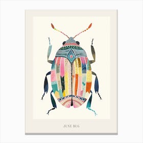 Colourful Insect Illustration June Bug 17 Poster Canvas Print