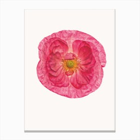 Poppy I Canvas Print