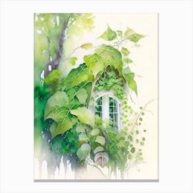 Poison Ivy Growing On Cottage Pop Art 2 Canvas Print
