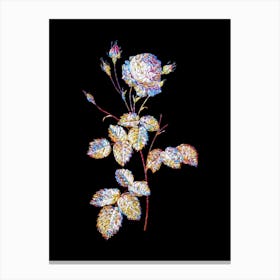 Stained Glass Provence Rose Mosaic Botanical Illustration on Black n.0111 Canvas Print