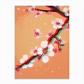 Cherry Blossoms Canvas Print