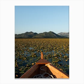 Water Lilly Heaven, Albania Canvas Print