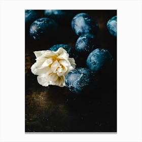 Blue Eggs And White Flower Canvas Print