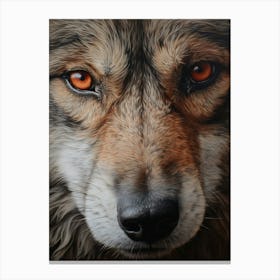 Indian Wolf Eye 1 Canvas Print