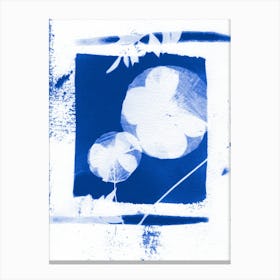 Abstract Blue Poppies Canvas Print