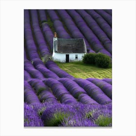 Lavender Fields In France 2 Canvas Print