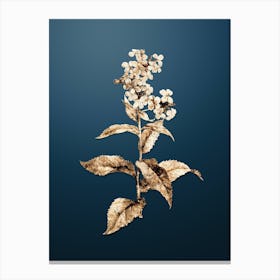 Gold Botanical White Gillyflower Bloom on Dusk Blue n.4217 Canvas Print