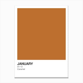 January Birth Month Colour Caramel Canvas Print