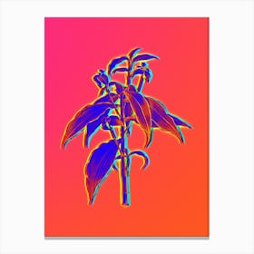 Neon Commelina Zanonia Botanical in Hot Pink and Electric Blue n.0423 Canvas Print