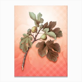 Fig Vintage Botanical in Peach Fuzz Tartan Plaid Pattern n.0156 Canvas Print