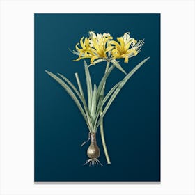 Vintage Golden Hurricane Lily Botanical Art on Teal Blue n.0283 Canvas Print