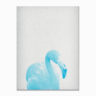 Froilein Flamingo IV Canvas Print