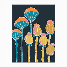 Umbrella Seed Pods Canvas Print