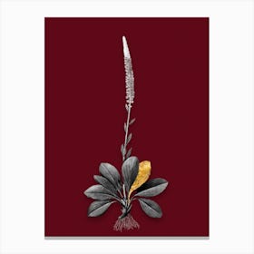 Vintage Blazing Star Black and White Gold Leaf Floral Art on Burgundy Red n.1042 Canvas Print