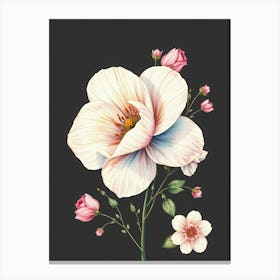 Pink And White Flowers Canvas Print