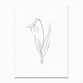 Snowdrop Sketch Canvas Print