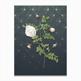 Vintage Silver Flower Hispid Rose Botanical on Slate Gray Pattern n.1133 Canvas Print