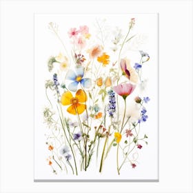Pressed Flower Botanical Art Wildflowers 3 Canvas Print