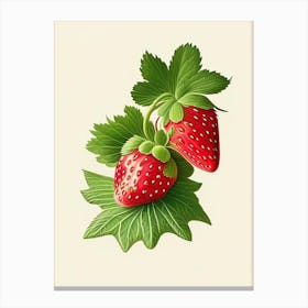 June Bearing Strawberries, Plant, Retro Drawing Canvas Print