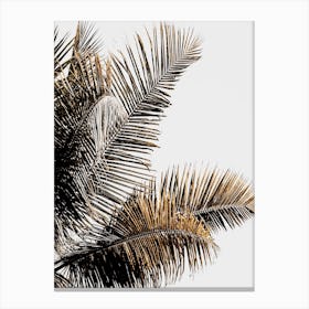 California Palm Canvas Print