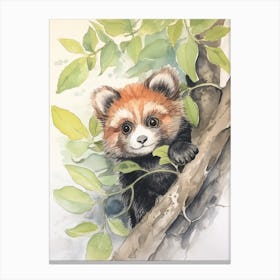 Storybook Animal Watercolour Red Panda 5 Canvas Print