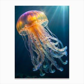 Jellyfish 8 Canvas Print