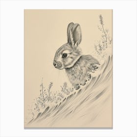 Blanc De Hotot Rabbit Drawing 3 Canvas Print