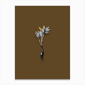 Vintage Autumn Crocus Black and White Gold Leaf Floral Art on Coffee Brown n.0354 Canvas Print