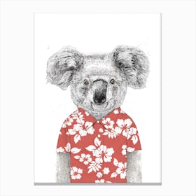 Summer koala Canvas Print