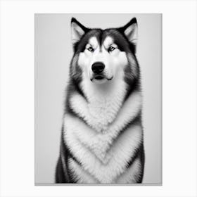 Alaskan Malamute 2 B&W Pencil dog Canvas Print