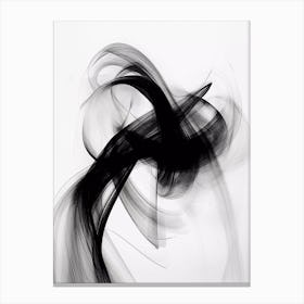 Black whiteAbstract Painting Canvas Print