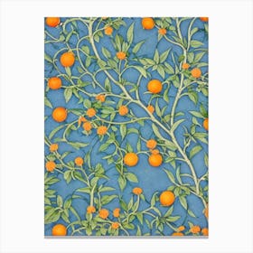 Orange tree Vintage Botanical Canvas Print