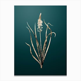 Gold Botanical Wild Asparagus on Dark Teal n.3995 Canvas Print