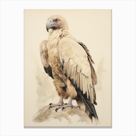 Vintage Bird Drawing Vulture 2 Canvas Print