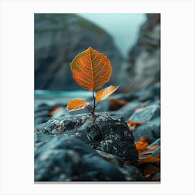 Autumn Leaves On Rocks 1 Canvas Print