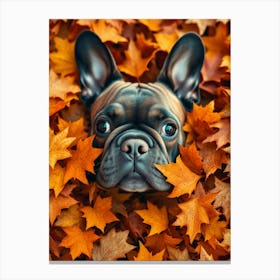 French Bulldog In Autumn Leaves 4 Canvas Print