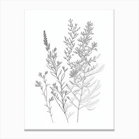Thyme Herb William Morris Inspired Line Drawing 3 Canvas Print