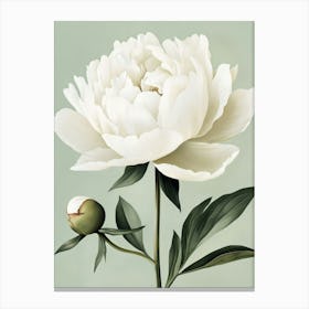 White Peony Flower 2 Leinwandbilder