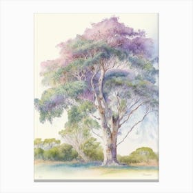 Atherton Tableland S Curtain Fig Tree, Australia Pastel Watercolour Canvas Print