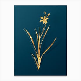 Vintage Ixia Anemonae Flora Botanical in Gold on Teal Blue Canvas Print