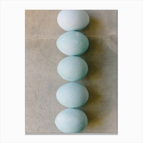 Blue Eggs 1 Canvas Print