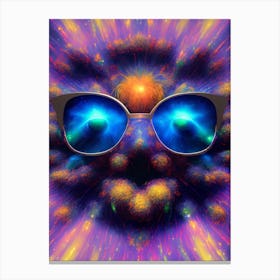 Universal Sunglasses Canvas Print