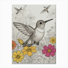 Hummingbird 39 Canvas Print