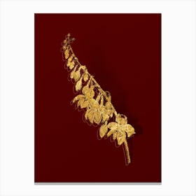 Vintage Giant Cabuya Botanical in Gold on Red n.0164 Canvas Print