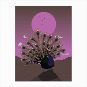 Japanese Peacock At Dusk Canvas Print